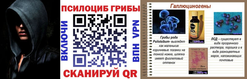 дарнет шоп  Кореновск  мега tor  Псилоцибиновые грибы MAGIC MUSHROOMS 